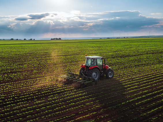 Ekonomik Büyüme Tarımı Neden Kurtaramıyor? Yanıtları Burada Bulun!